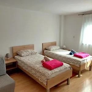 Dina Pola